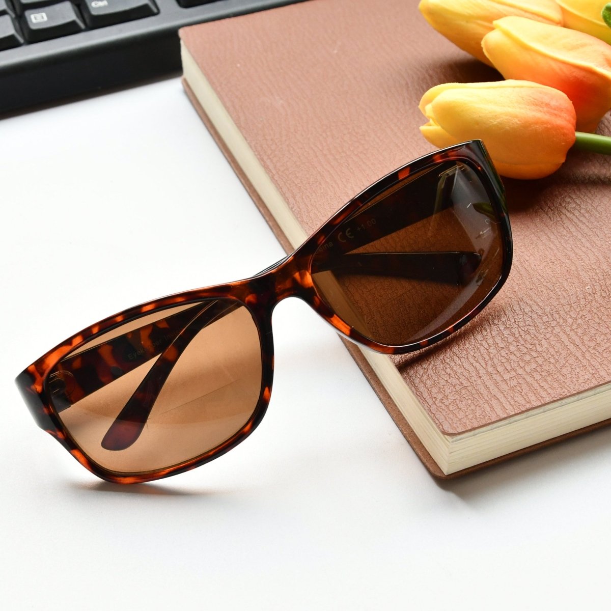 Classic Bifocal Reading Sunglasses Outdoor Sunshine Readers SG821eyekeeper.com